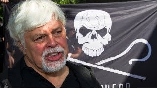 Protect Our Oceans, Save Our Future: Captain Paul Watson Talks Conservation