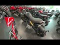 new 2025 ducati scrambler 1100 sport pro