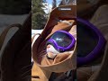 Cat Loves Skiing So Much, He Has His Own Ski Pass | The Dodo