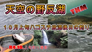 【天空の野反湖】10月の放流魚ハコスチさん!？後日釣ってみた。😀（撮影10月上旬釣り撮影）