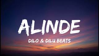 Alinde - ආලින්දේ | Dilo \u0026 Dilu Beats #manopara #manoparakata_sindu #dilubeats #dilo