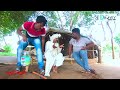 bakulbhaini buddhi ।।બકુલભાઈની બુધ્ધિ ।।hd video।।deshi comedy।।comedy video।।