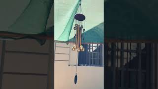 Wind chimes in my desert garden -New addition #windchimes #shorts #shortsfeed