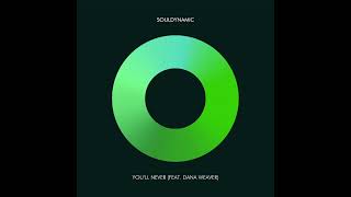 Souldynamic Feat Dana Weaver - You'll Never (Atjazz \u0026 Peacey Remix)