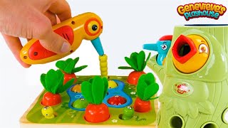 Best Toy Learning Video for Toddlers and Kids - Learn Colors and Counting in the Garden!