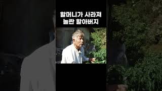 할머니가 사라져 놀란 할아버지