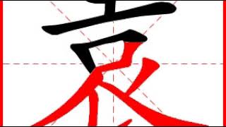 【一笔一划写中文】怎样写袁 [ yuán ] 字，袁字怎么写，How to write chinese