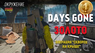 Days Gone на \