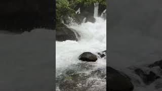 奥入瀬渓流 #青森県 #パワースポット #マイナスイオン #東北 #癒し #滝 #travel #waterfall #nature #旅行 #japan #japantravel #いやし