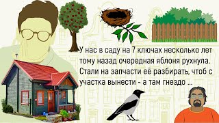 🏠Как Я Работал На Скорой Помощи! Сборник Свежих Смешных Историй Из Жизни! Юмор! Позитив!