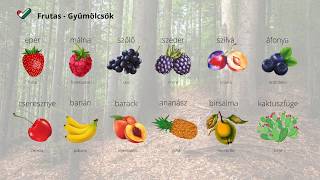 Vocabulario - Frutas y Verduras. Szójegyzék - Gyümölcsök és Zöldségek