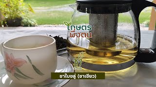 เกษตรพึ่งตน ชุดชานะคอน : ชาใบขลู่ (ชาเขียว)