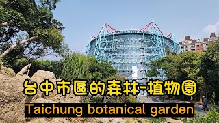 台中市科博館植物園周邊芬多精之旅Taiwan街景拍攝/台灣/台湾