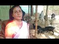 how to start a goat farm কেনেকৈ আৰম্ভ কৰিব ছাগলী পালন