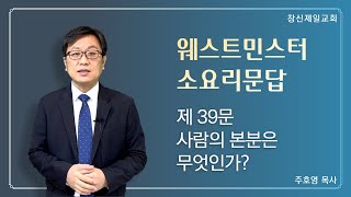 01-14 오늘의 말씀｜소요리문답 제39문｜사람의 본분은 무엇인가?｜주호영 목사