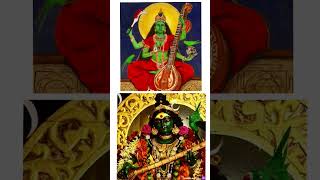 Maa matangi🕉️🙏🏻 9th mahavidya of goddess Shakti #jaimatadi #mataji #mahakali #statusvideo #hariom