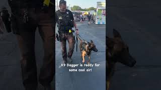 Grant County Sheriff K9 Dagger taking a walk