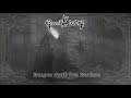 gloomy erudite _ dungeon synth from darkness full album