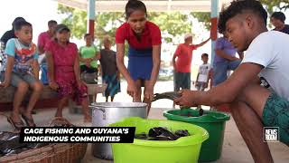 CAGE FISHING AND GUYANA'S INDIGENOUS COMMUNITIES