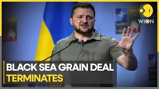 Russia withdraws from Ukraine grain deal; can Zelensky bank on EU? | Newspoint