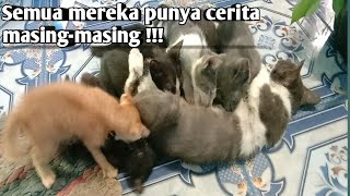 MEREKA SEMUA BERTEMAN,MESKIPUN BARU HADAPTASI DAN MEREKA PUNYA CARA MASING2 UNTUK MENGHIBUR