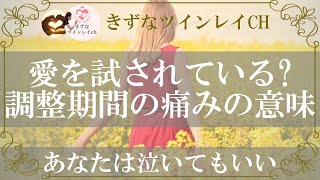 ツインレイ男性はサイレント期間に冷める？何を考えているのかわからないあなたへ【きずなツインレイチャンネル】