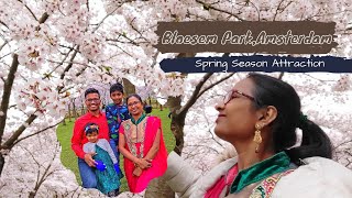 వసంత ఋతువు అందాలు | Cherry Blossoms | Bloesem Park | Amsterdam | VamsiBytes