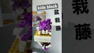 キッズブロック 藤 盆栽 シリーズ セリア / kids block Fuji bonsai seria