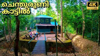 Shendurney കാടിനുള്ളിൽ ഒരു ദിവസം | Woody Rockwood Forest Stay | Achankovil Forest Drive | 4K UHD