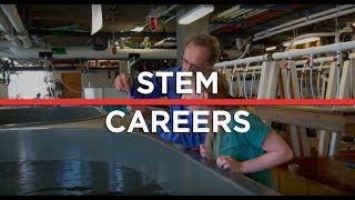 SciTrends - STEM Careers