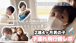 【子連れ飛行機】とにかく寝てほしい…2歳児との飛行機レポ