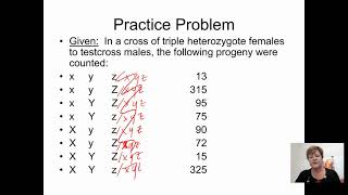 Genetics BIOL 2416 Chapter 5 Part 4 Recording