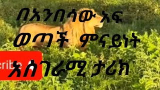 አስጨናቂው አንበሳ  እያሳደደ ዛሬ  አደናቸው@refugiomental6032