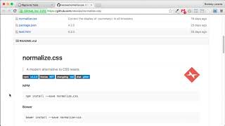 1 Normalize css