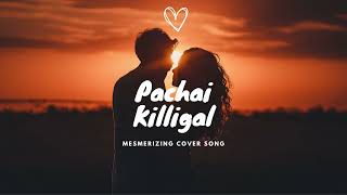 Pachai killigal - cover song I Hanan shah (Slow+Loop MODE) - #Hananshah #tamiltrending