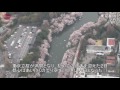 桜満開で花見客にぎわう 曇り空の下 東京都心各地