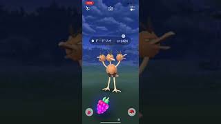 ポケモンGO、野生のドードリオをGETした様子