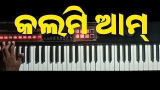 କଲମୀ ଆମ୍/Kalmi aam old sambalpuri instrumental song/piano tutorial July 9, 2023#kalmiaam #oldsong