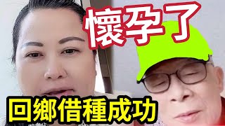 突發！何太懷孕了！放風備孕3個月「回鄉借種生仔」爭產更有力！何伯唯一的「利用價值」人不在！驗DNA都遲了... #東張西望 #tvb