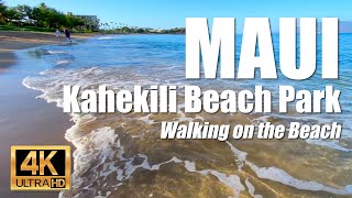 Beachgoers, swimmer and a stand-up paddler at Kahekili Beach Park in Ka'anapali, Maui, Hawaii  4K