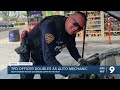 tucson woman gets car help from tpd officer