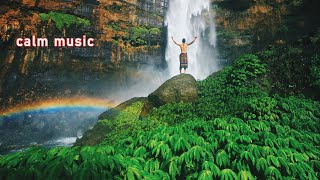 Study Music 24/7, Concentration, Focus Music, Relaxing Music, Meditation, Work, Calm Music, Study
