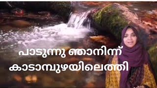 പാടുന്നു ഞാനിന്ന് കാടാമ്പുഴയിലെത്തി # KS Chithra# KG Jayan # AV Vasudevan Potti #Dr Sinitha Mehshab