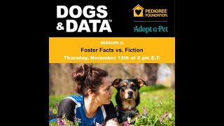 Dogs & Data 2025, Session #3: Foster Facts vs. Fiction