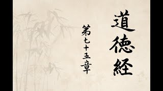 日課小楷道德經第七十五章(Tao Te Ching)-正能量Positive Energy-中國毛筆書法藝術作品欣賞Appreciation of Chinese Writing Art Works