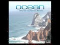 ocean michael tsukerman remix