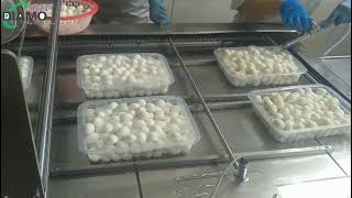 Hard Boiled Quail Eggs  Packaging Line 0086 159 6100 8651