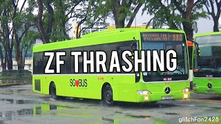 [SMRT] MB OC500LE ZF Thrashing on Service 980 - SMB131R