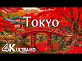 Tokyo, Japan in Autumn 4K 🍁 Red Maple Leaves, Ancient Temples & Tranquil Fall Vibes 🍂 Relaxing Music