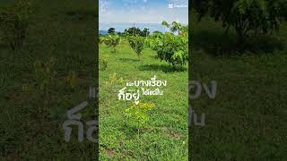 รักการปลูก65 @ ปรุงด้วยรัก by สวนคุณยาย